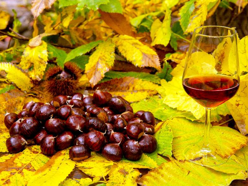 Cooperativa Castanicoltori del Trentino A. A. | Maroni e Tradizione