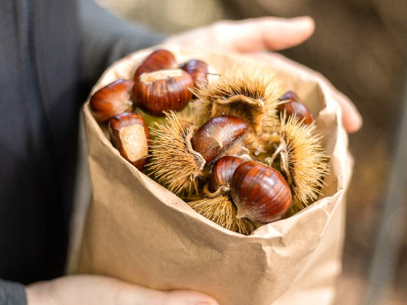 Cooperativa Castanicoltori del Trentino A. A. | Maroni e Tradizione